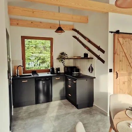 Beskidylla Apartment Ustron