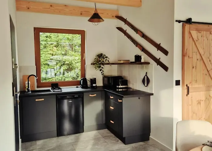 Beskidylla Апартаменты Устронь